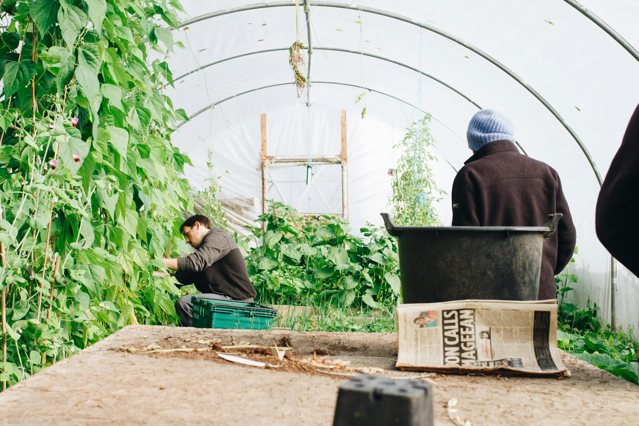 Enhancing Crop Diversity